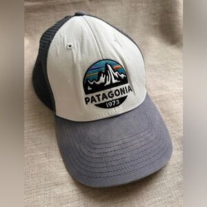 Patagonia Fitz Roy scope LoPro Trucker Hat in Cream & Grey
